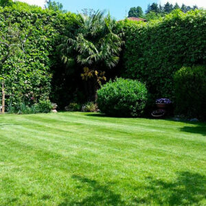 manutenzione-aree-verdi_02